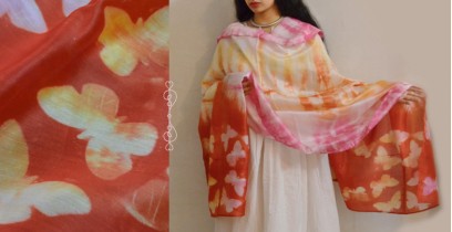 मलंग ☙ Chanderi Silk Clamp dyed Dupatta { तितली } ☙